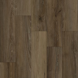 Bodiax BP370 Estrela 125