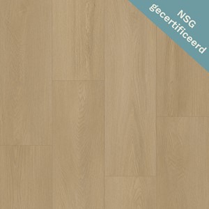 Bodiax BP500 Thor 534