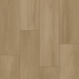 Bodiax BP500 Thor 536