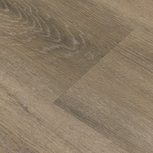 Bodiax BP500 Thor 553