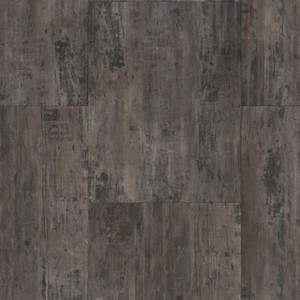 COREtec Stone 1801 Petrified Forest