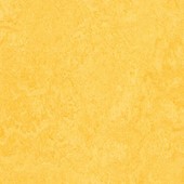 Forbo Marmoleum® Click 30x30 333251 Lemon Zest