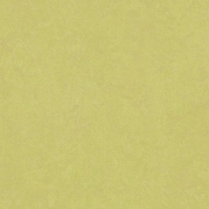 Forbo Marmoleum® Click 30x30 333885 Spring Buds