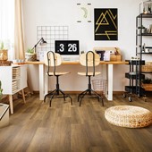 Gelasta City 4602 Pluto Natural