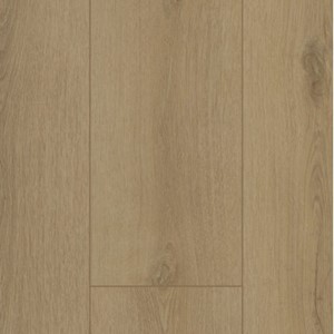 Gelasta Firmfit 6501 Sierra Beige