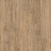Therdex Exclusive 4 series 4070